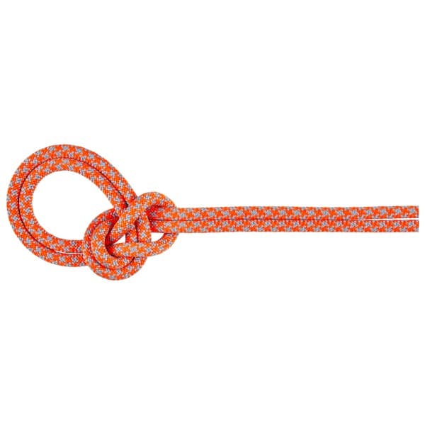 Mammut 9.0 Crag Sender Dry Rope 50m
